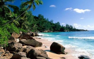 + informaci&oacute;n paquete terrestre: CUBA, DONDE CRECE LA PALMA